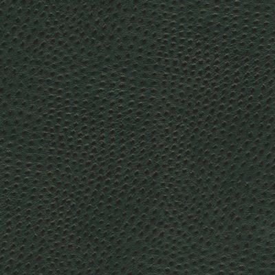 Maxwell Fabrics QUILL-NJ # 894 FOREST