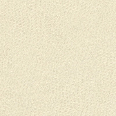 Maxwell Fabrics QUILL-NJ # 899 FOAM