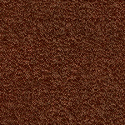 Maxwell Fabrics RAMBUTAN-NJ # 763 MAHOGANY