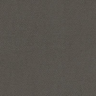 Maxwell Fabrics RAMBUTAN-NJ # 779 GRAPHITE