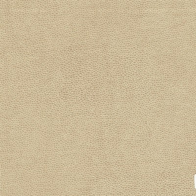 Maxwell Fabrics RAMBUTAN-NJ # 782 CAPPUCINO