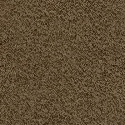 Maxwell Fabrics RAMBUTAN-NJ # 784 ESPRESSO