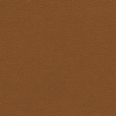 Maxwell Fabrics RUGGED-NJ # 496 GINGERBREAD