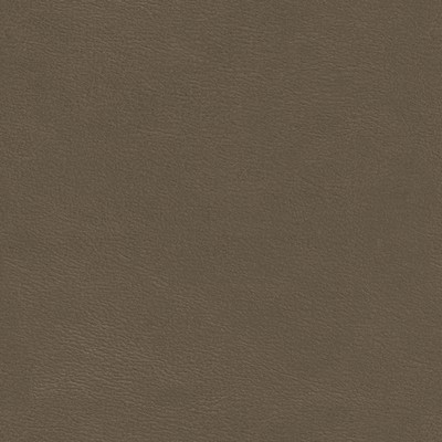 Maxwell Fabrics SHAW-NJ # 794 FLAGSTONE