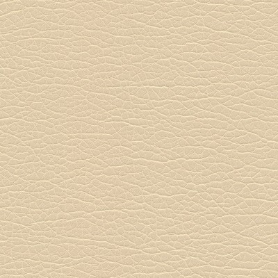 Maxwell Fabrics SPIRE-NJ # 1191 CASHEW