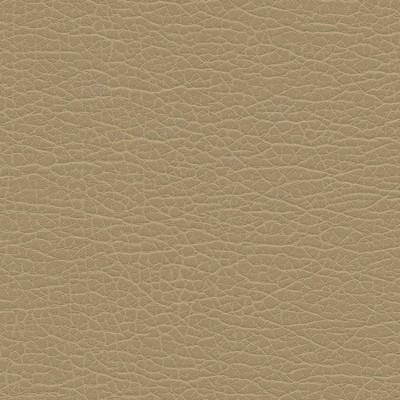 Maxwell Fabrics SPIRE-NJ # 1193 LATTE