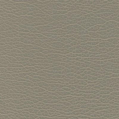 Maxwell Fabrics SPIRE-NJ # 1197 CONCRETE