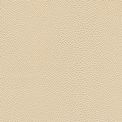 Maxwell Fabrics STINGRAY-NJ # 1067 SEASHELL