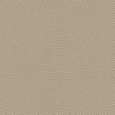 Maxwell Fabrics STINGRAY-NJ # 1071 PUDDING