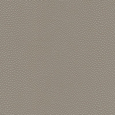 Maxwell Fabrics STINGRAY-NJ # 1074 CHALICE