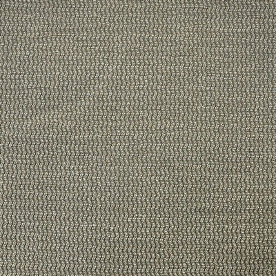 Maxwell Fabrics SPINNAKER # 815 GRAPHITE