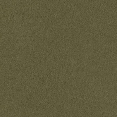 Maxwell Fabrics TANNERY-NJ # 123 ARMY