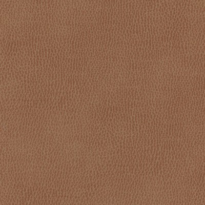 Maxwell Fabrics TOP GRAIN-NJ # 839 ARABIAN