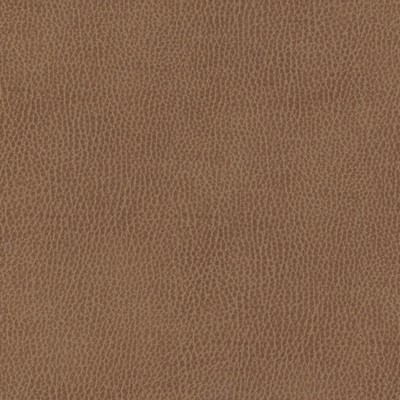 Maxwell Fabrics TOP GRAIN-NJ # 841 CLYDESDALE