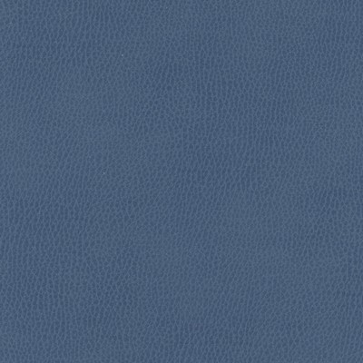 Maxwell Fabrics TOP GRAIN-NJ # 843 SEA BED