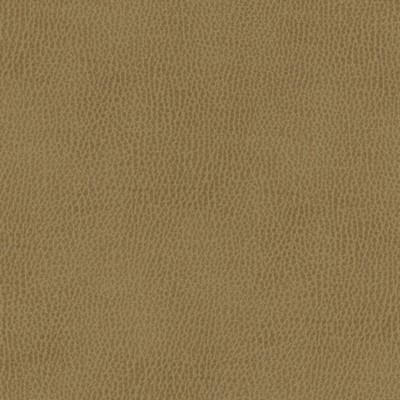 Maxwell Fabrics TOP GRAIN-NJ # 845 MOSS