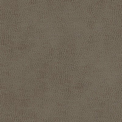 Maxwell Fabrics TOP GRAIN-NJ # 846 CAMPOLINA