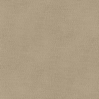 Maxwell Fabrics TOP GRAIN-NJ # 848 KONIK