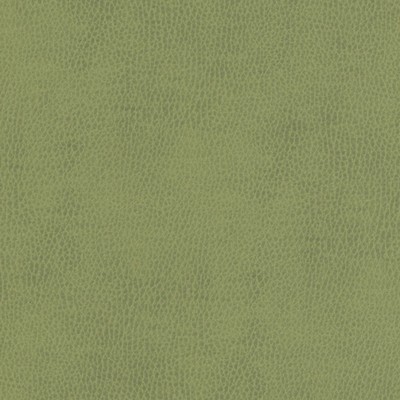 Maxwell Fabrics TOP GRAIN-NJ # 857 CELERY