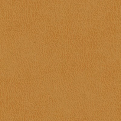 Maxwell Fabrics TOP GRAIN-NJ # 858 SQUASH