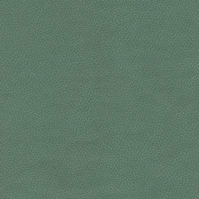 Maxwell Fabrics TOP GRAIN-NJ # 859 SPRUCE