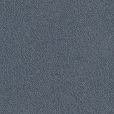 Maxwell Fabrics TOP GRAIN-NJ # 860 SEA