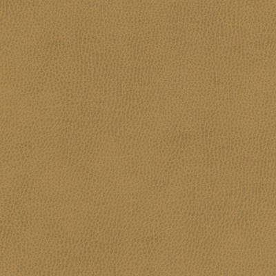 Maxwell Fabrics TOP GRAIN-NJ # 866 COIN