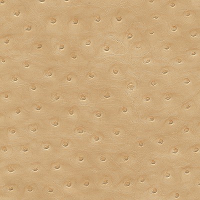 Maxwell Fabrics TWITTER-NJ # 298 WHEAT