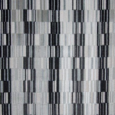 Maxwell Fabrics TIRANO # 615 DOMINO