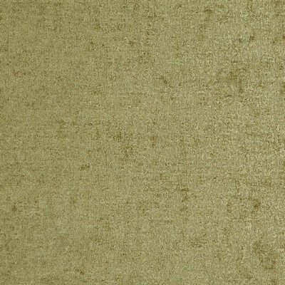 Maxwell Fabrics VAUDEVILLE                     # 312 GRASS              