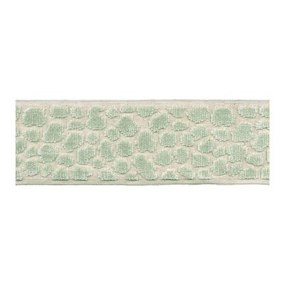 RM Coco Trim BD135 Border 3.5in Celadon