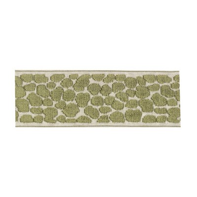 RM Coco Trim BD135 Border 3.5in Lemon Grass