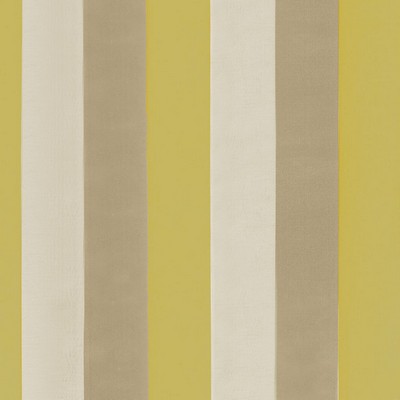 RM Coco Genoa Stripe Goldenrod