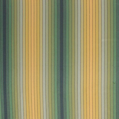 RM Coco Ombre Stripe Meadow