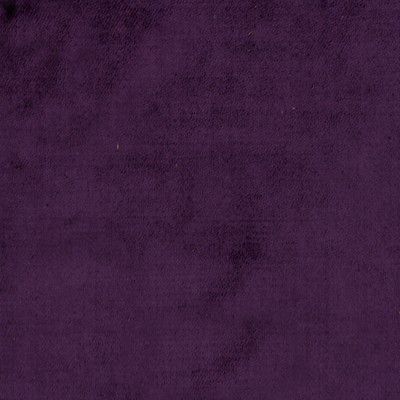 Novel TORTOLI PURPLE