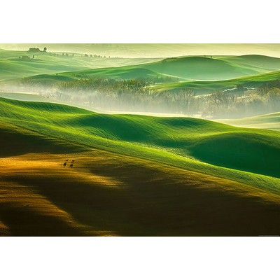 Wall Pops Rolling Green Hills Wall Mural Greens