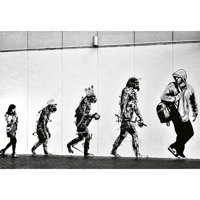 Wall Pops Street Art Evolution Wall Mural Greys