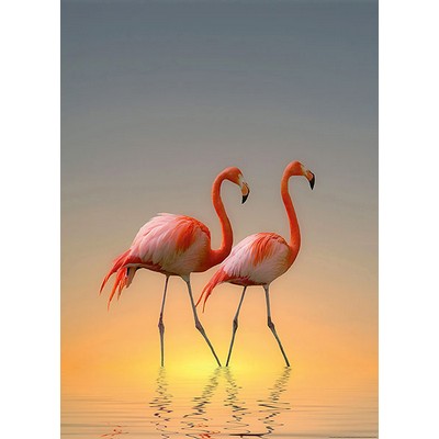 Wall Pops Sunrise Flamingos Wall Mural Multicolor