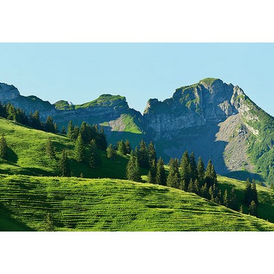 Wall Pops Swiss Mountains Wall Mural Greens