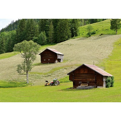 Wall Pops Swiss Farmhouse Wall Mural Greens