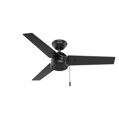 Hunter Fan Co Hunter 44 inch Cassius Matte Black Damp Rated Ceiling Fan and Pull Chain Black