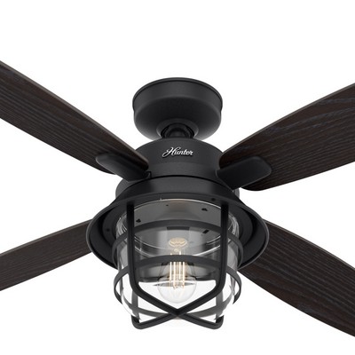 Hunter Fan Co Hunter 52 inch Port Royale Natural Black Iron Damp Rated Ceiling Fan with LED Light Kit and Handheld Black