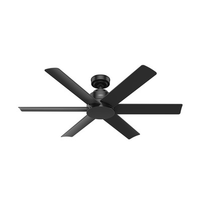 Hunter Fan Co Hunter 52 inch Kennicott Matte Black Damp Rated Ceiling Fan and Wall Control Black