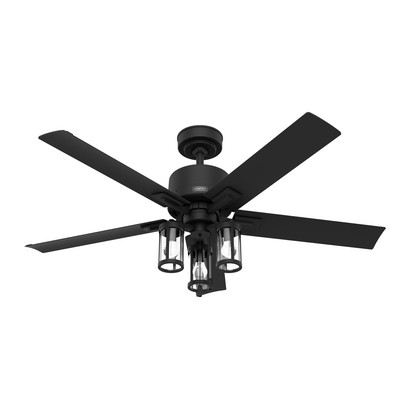 Hunter Fan Co Hunter 52 inch Lawndale Matte Black Damp Rated Ceiling Fan with LED Light Kit and Pull Chain Black