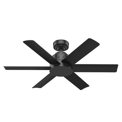 Hunter Fan Co Hunter 44 inch Kennicott Matte Black Damp Rated Ceiling Fan and Wall Control Black