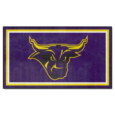 Fan Mats  LLC Minnesota State Mankato Mavericks 3x5 Rug Purple