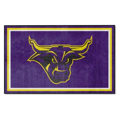 Fan Mats  LLC Minnesota State Mankato Mavericks 4x6 Rug Purple