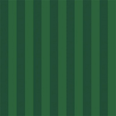 Ralph Lauren Courtside Stripe Green