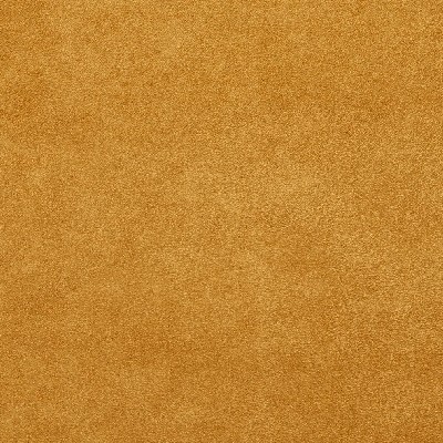 Charlotte Fabrics 3060 Cashew