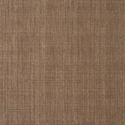 Charlotte Fabrics 5373 Sable